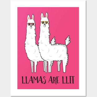 Llamas Are Llit, Funny Llama Posters and Art